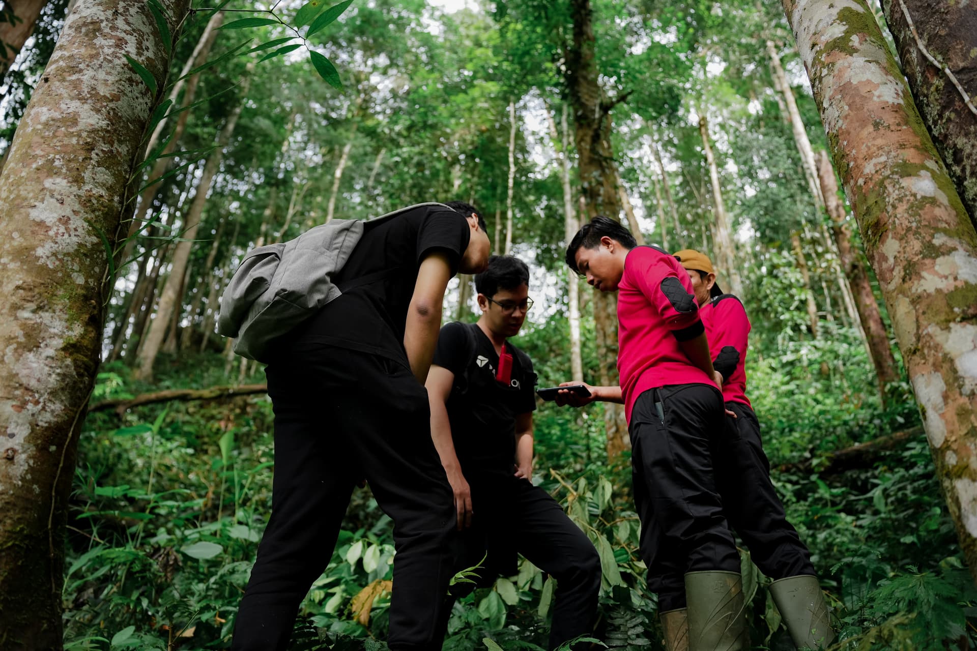 CSR Paragon Environment